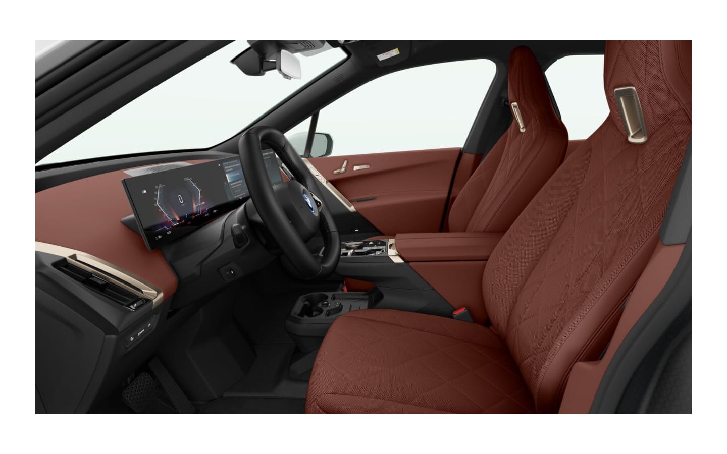 BMW iX M