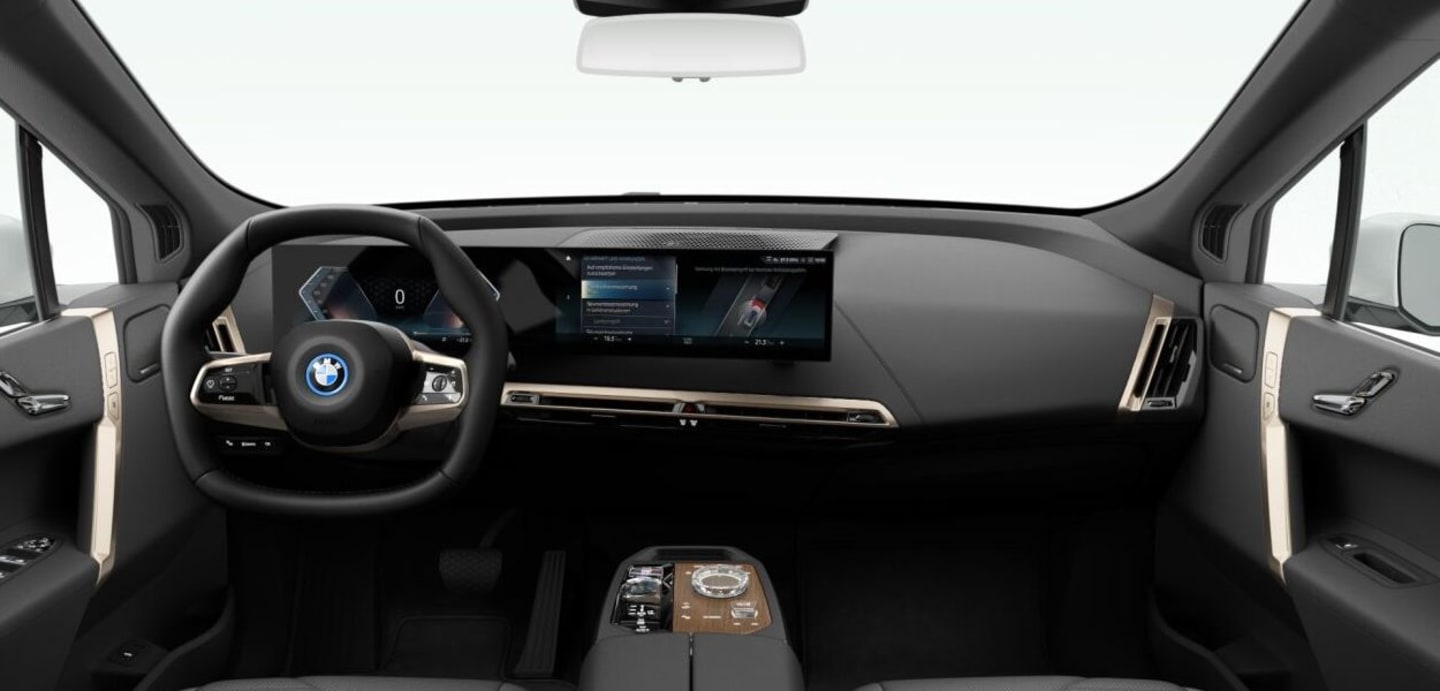 BMW iX