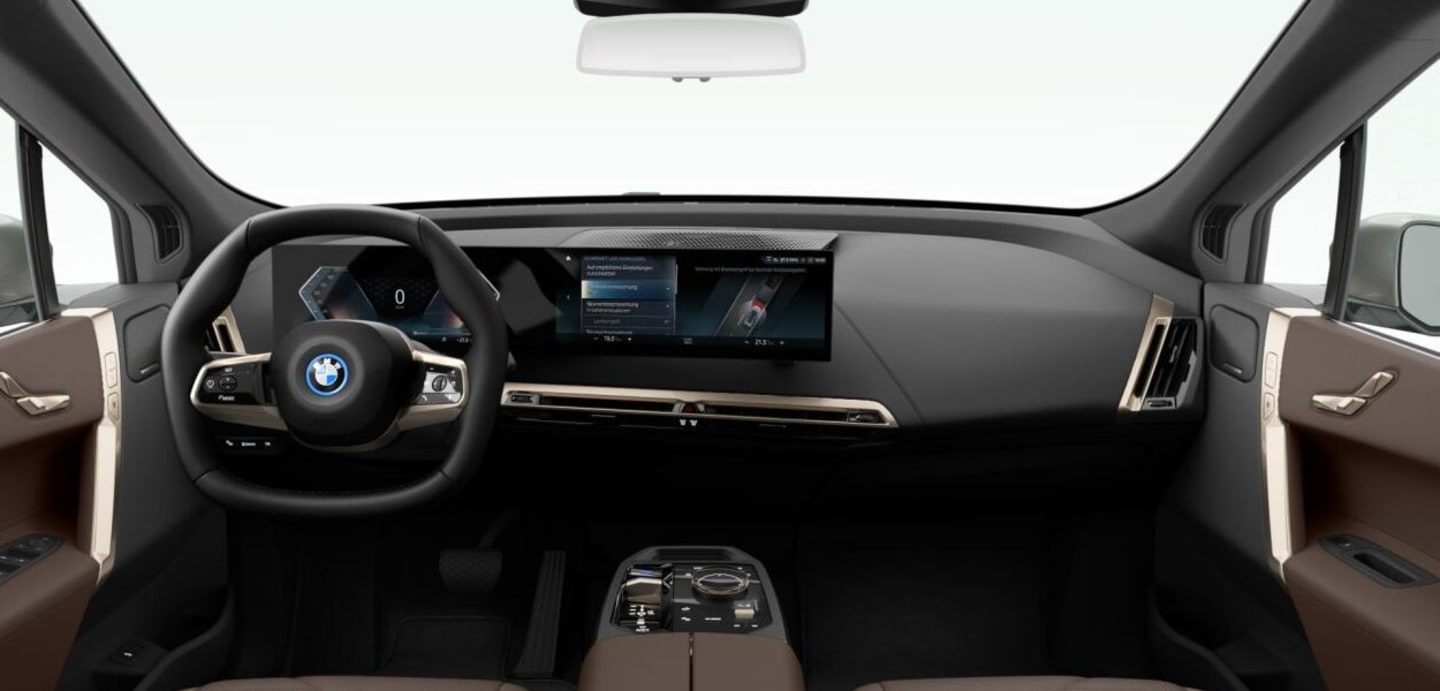 BMW iX