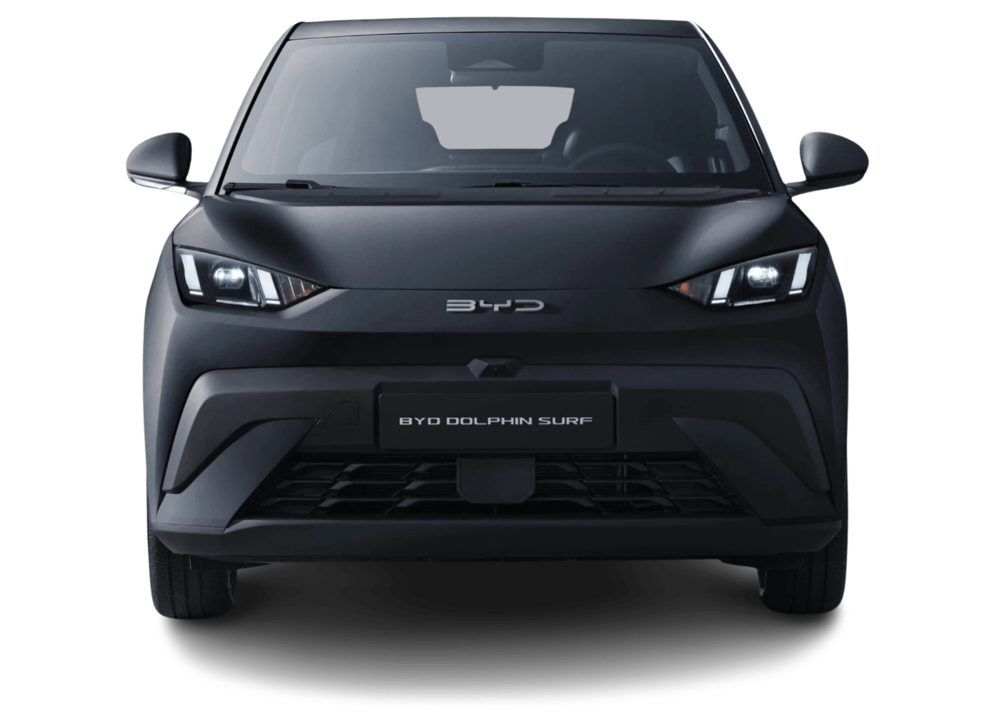 BYD Dolphin Surf