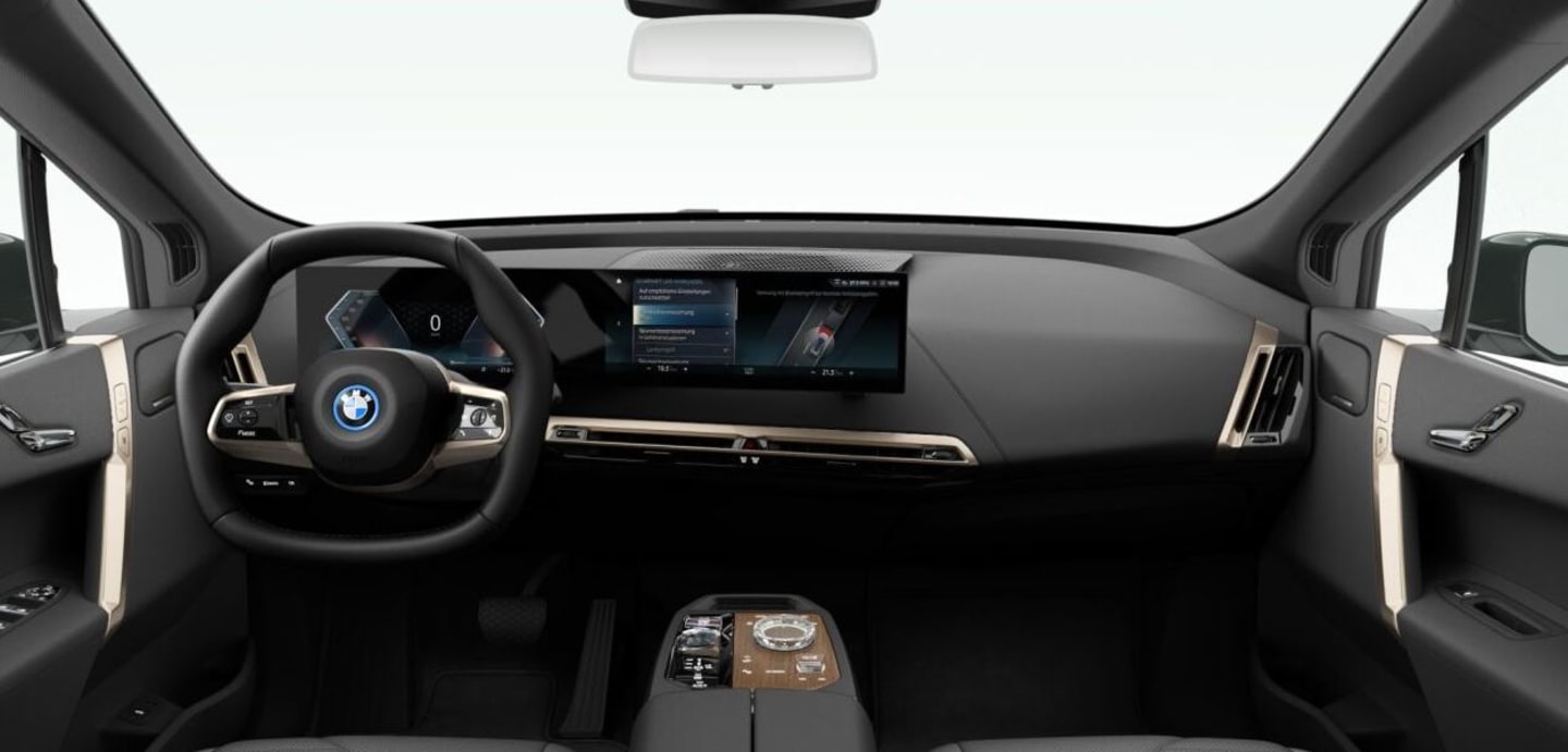 BMW iX