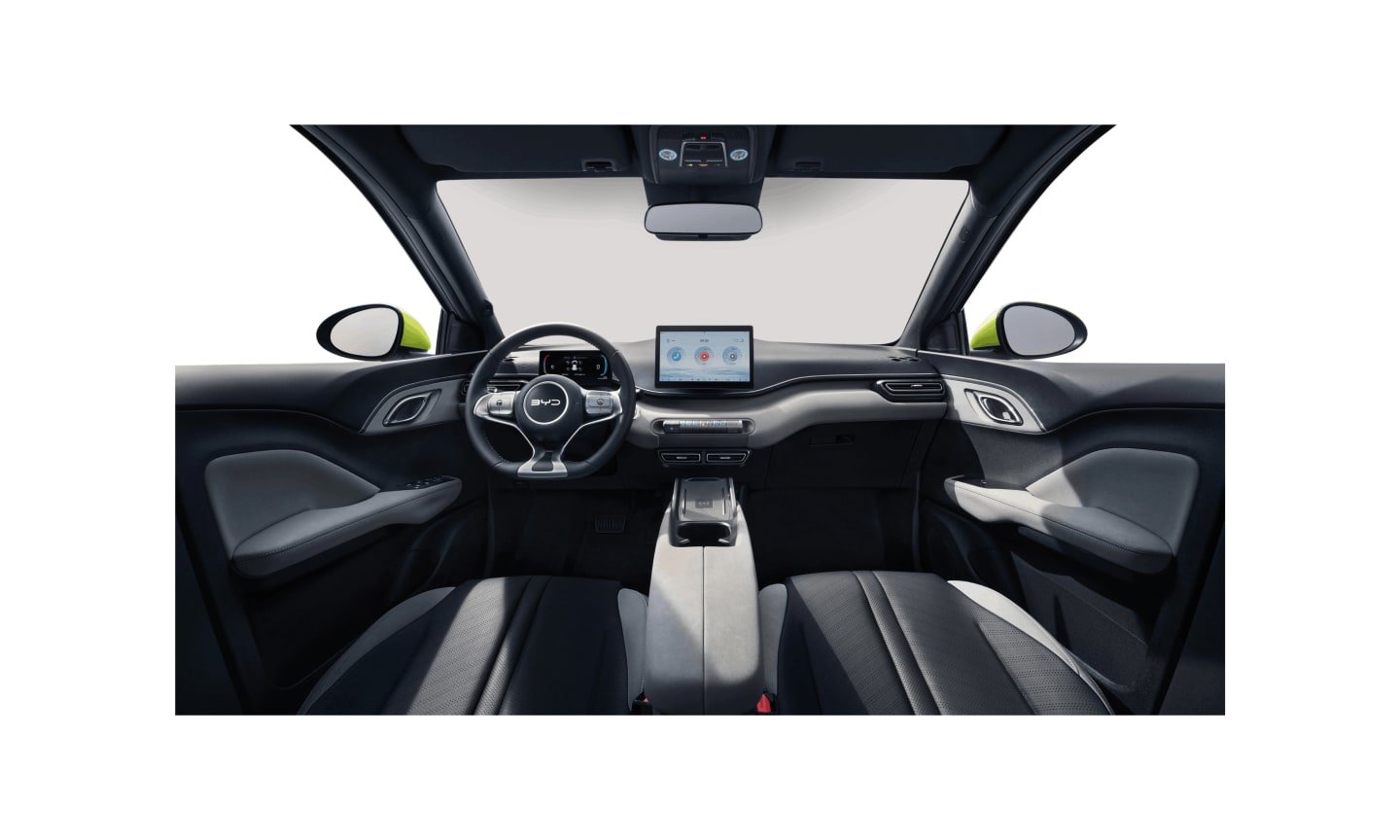 BYD Dolphin Surf