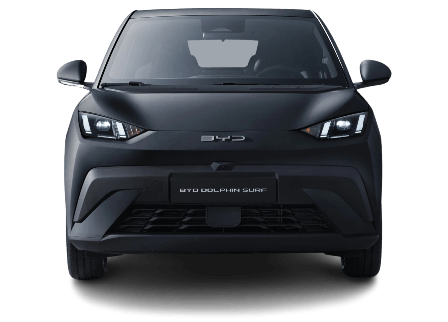 BYD Dolphin Surf