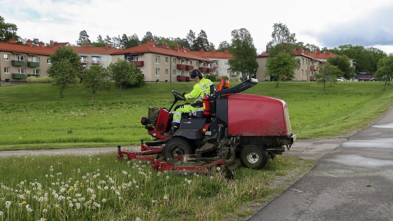 Känner du doften av nyklippt gräs?