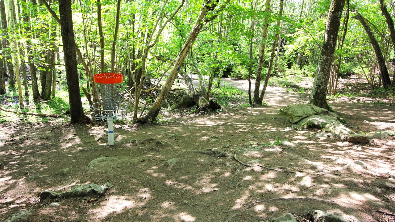 Finspångs Discgolfklubb