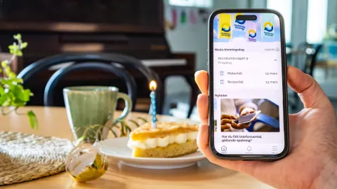 Hemkollen fyller 7 år – fortsätter förenkla vardagen 