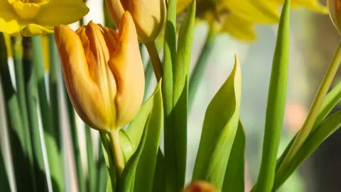 Öppettider under påskhelgen