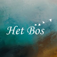 Het Bos