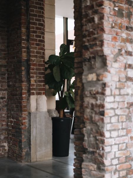 restobons/uploads/eoehqcjmlqmpfytu8qvb