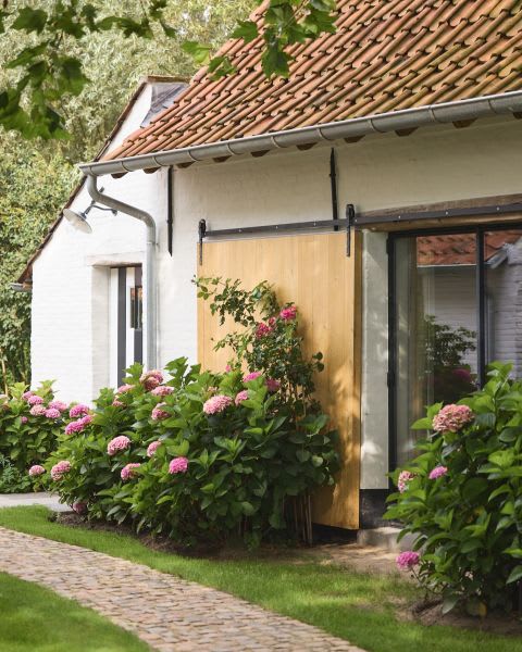 restobons/uploads/wckwmuusmmcbqp57fifb