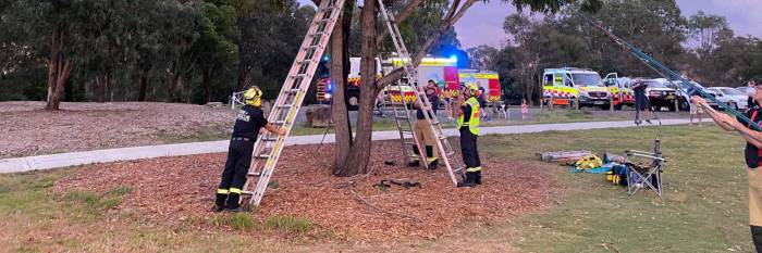 An image relating to the news item Tree Rescue - Man Trapped 