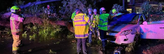 An image relating to the news item Driver rescued from car hit by fallen tree