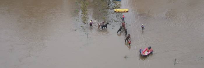 An image relating to the news item FRNSW helps rescue people and horses 