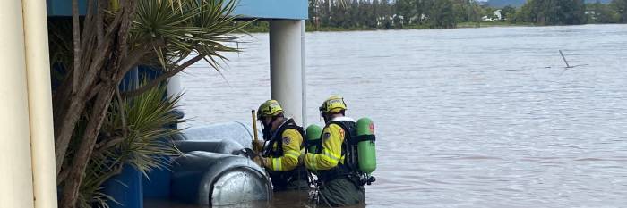 An image relating to the news item Resourceful firefighters rescue horse - Video