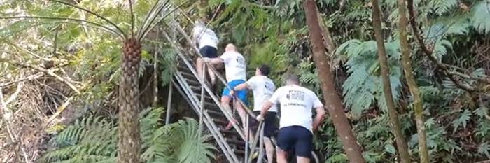 An image relating to the news item Firefighter reaches higher as he scales the Furber Steps for charity 