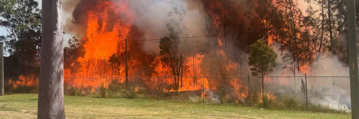 An image relating to the news item Major grass fire in Sydney's west 