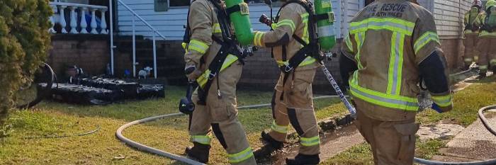 An image relating to the news item Firefighters rescue pet dogs from family's burning home