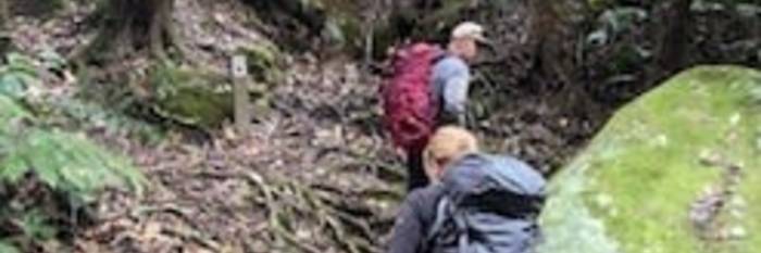 An image relating to the news item Wyong firefighters tackle the Kokoda Track for charity