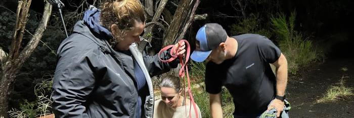 An image relating to the news item [] Firefighters rescue dog, trapped down embankment