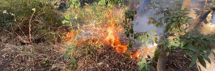 An image relating to the news item Fire and Rescue NSW conducts ‘cultural burns’ in bushfire-prone areas – 