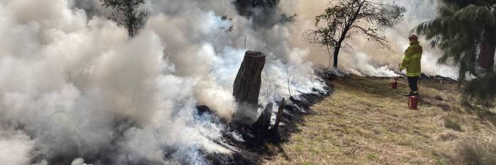 An image relating to the news item Fire and Rescue NSW ramps up hazard reduction burns amid predictions of challenging fire season 