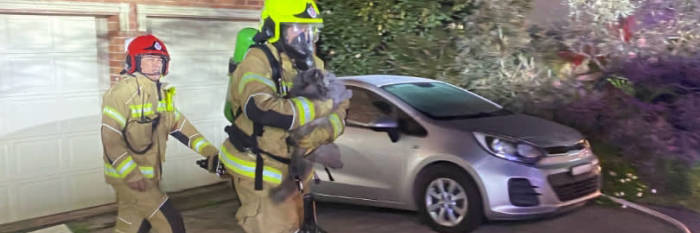 An image relating to the news item Fire and Rescue NSW crews save precious pet's life after family home impacted by fire