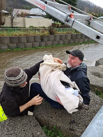 An image relating to the news item Kangaroo rescue