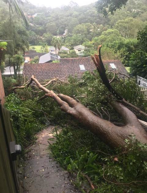 An image relating to the news item Storm Damage