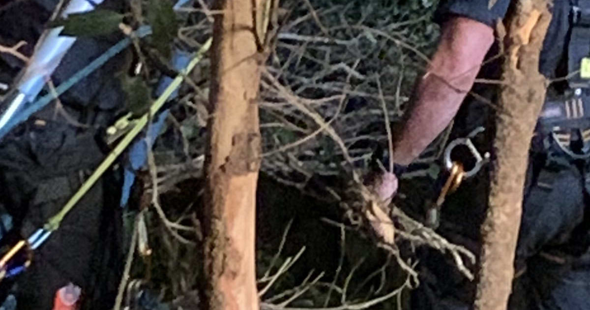 An image relating to the news item Rescue Incident