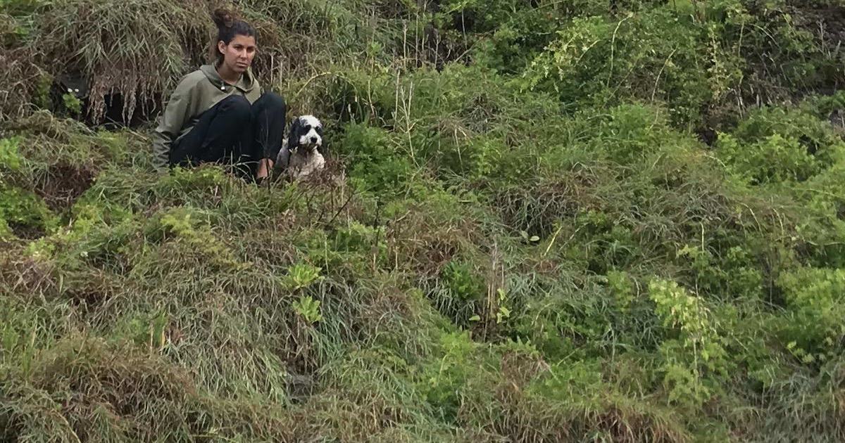 An image relating to the news item Dog Rescue