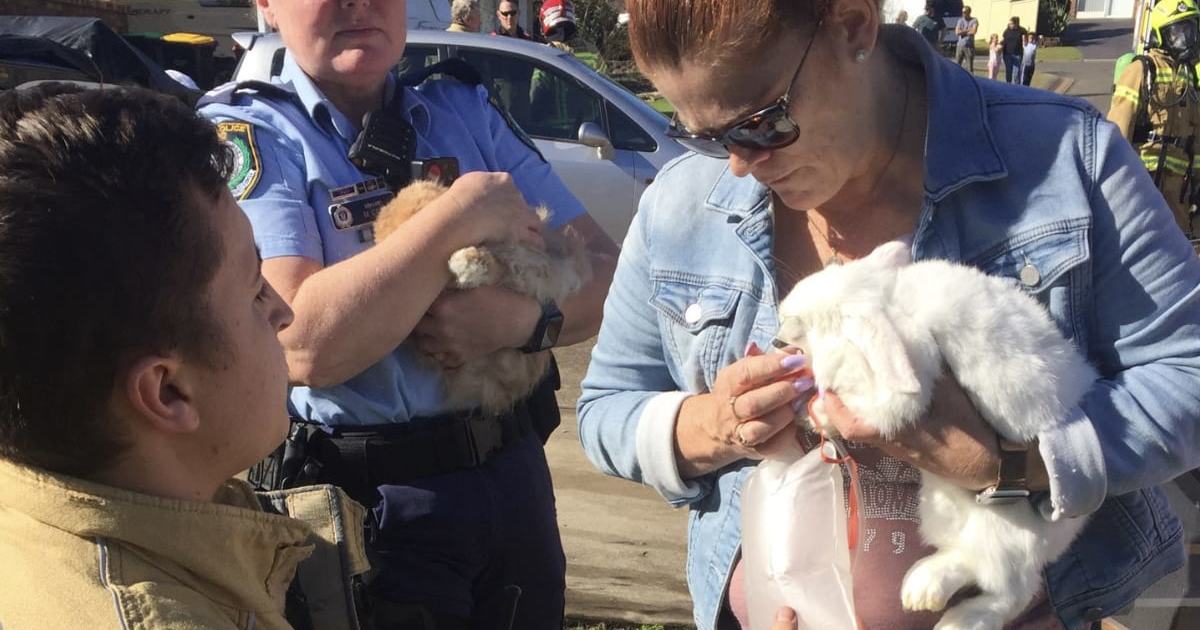 An image relating to the news item Pet Rabbit Rescued from House Fire