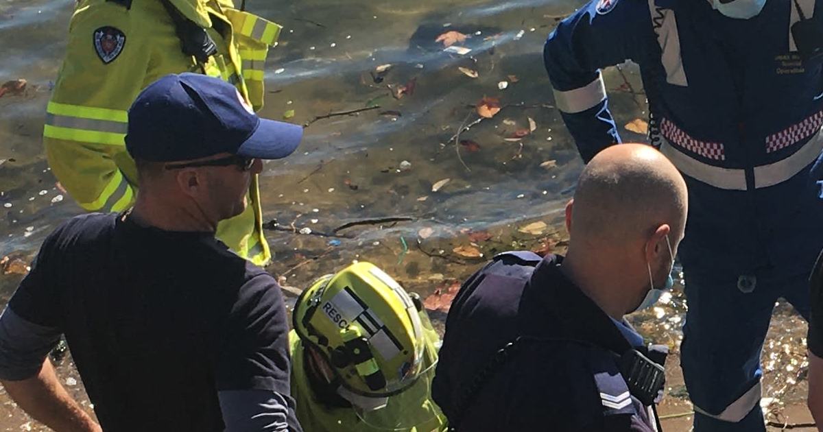 An image relating to the news item Rescue Incident 