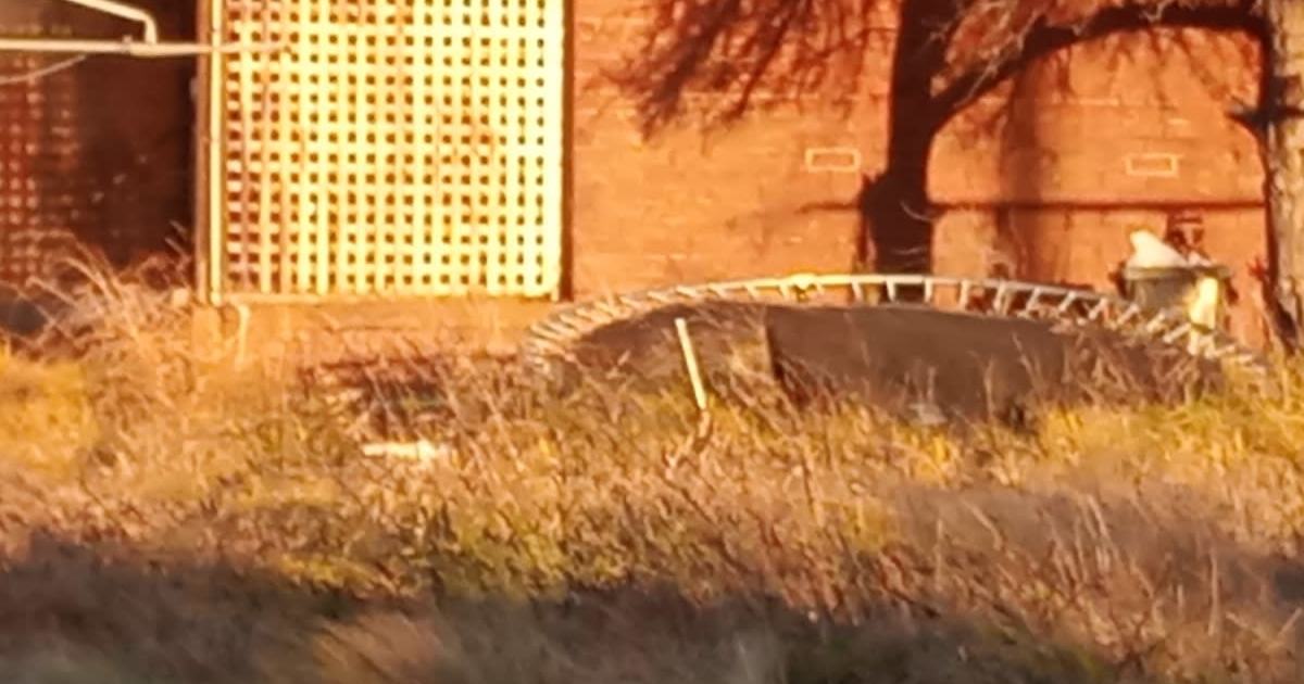 An image relating to the news item Building Fire