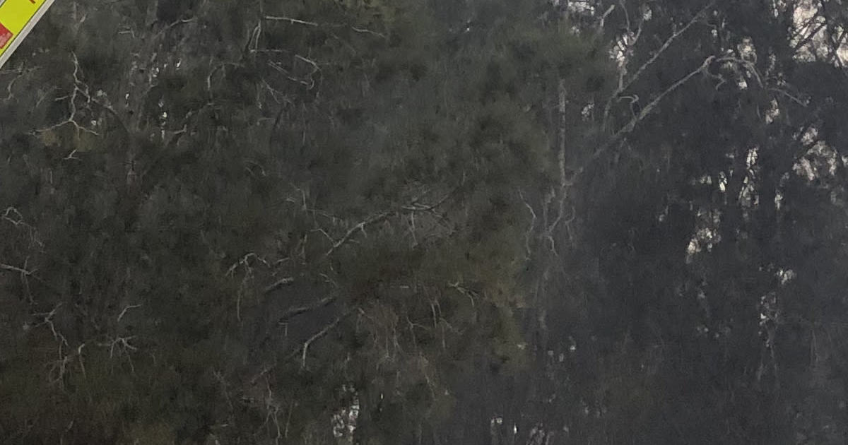 An image relating to the news item Sailing Club alight