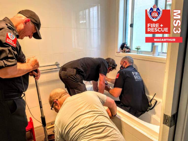 An image relating to the news item Cat Rescue