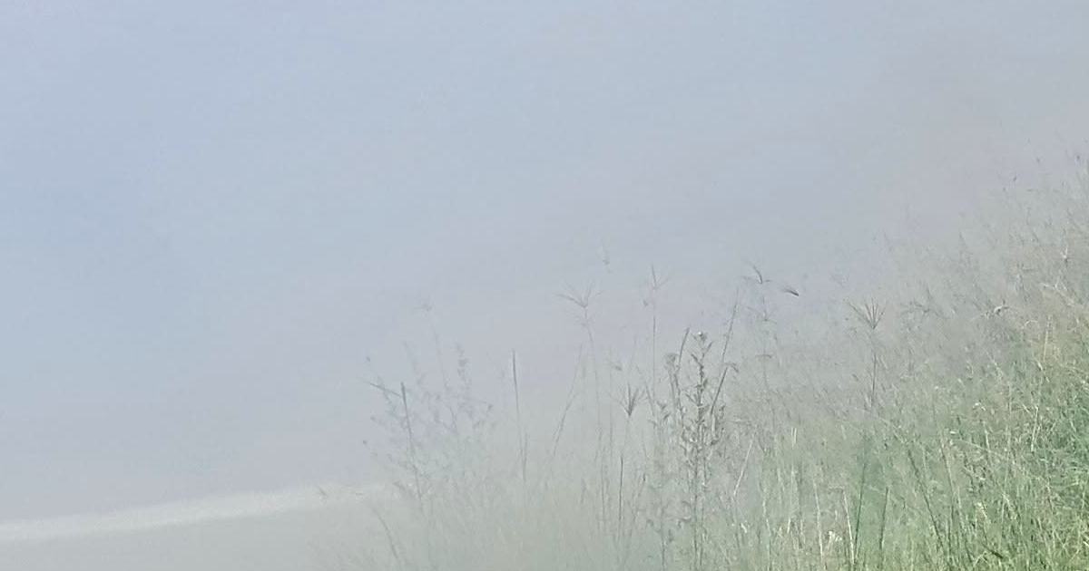 An image relating to the news item Grass fire 