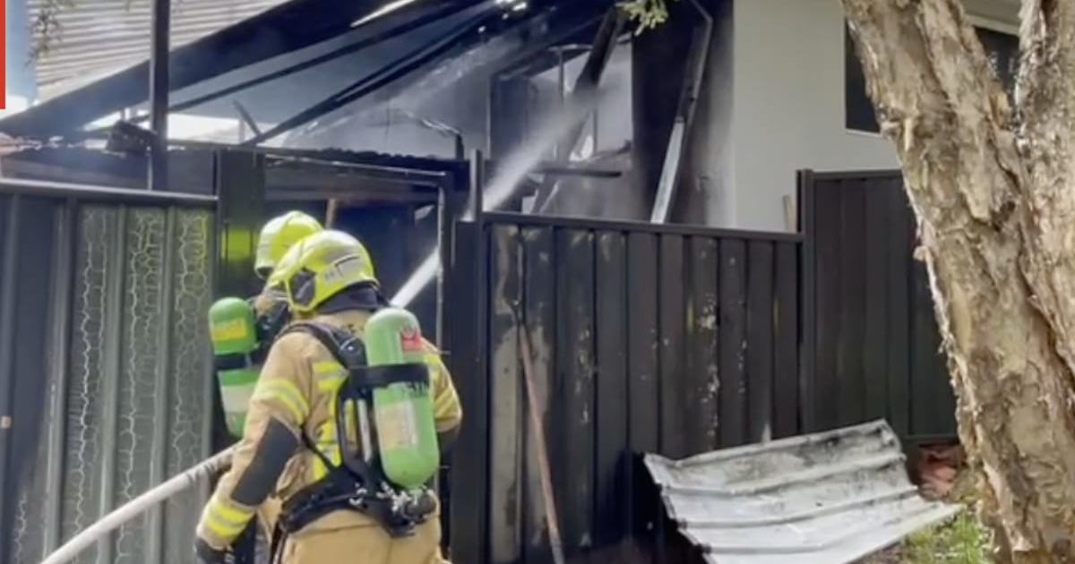 An image relating to the news item Dog saved from house fire by neighbours - VIDEO