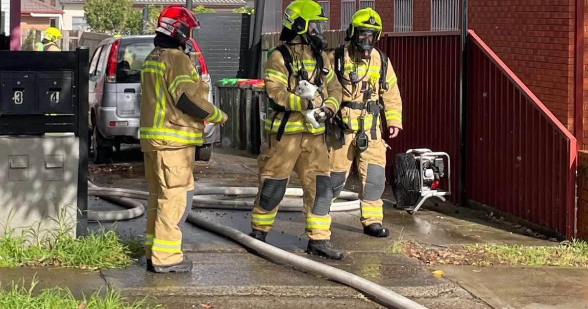 An image relating to the news item Bunny rescue - Belmore