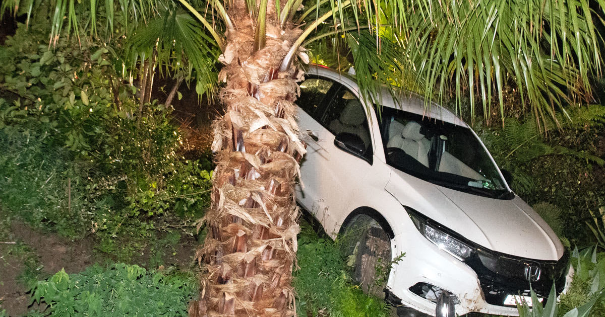 An image relating to the news item Elderly woman saved in embankment rescue
