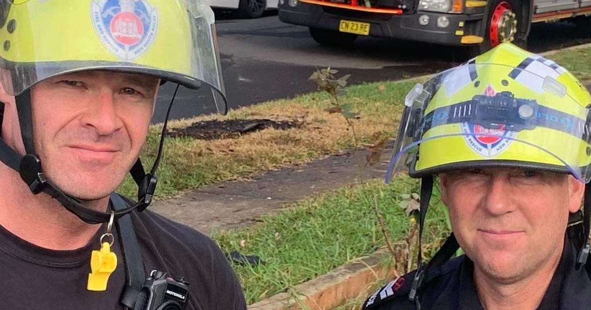 An image relating to the news item Two turtles and green tree frog saved in house fire