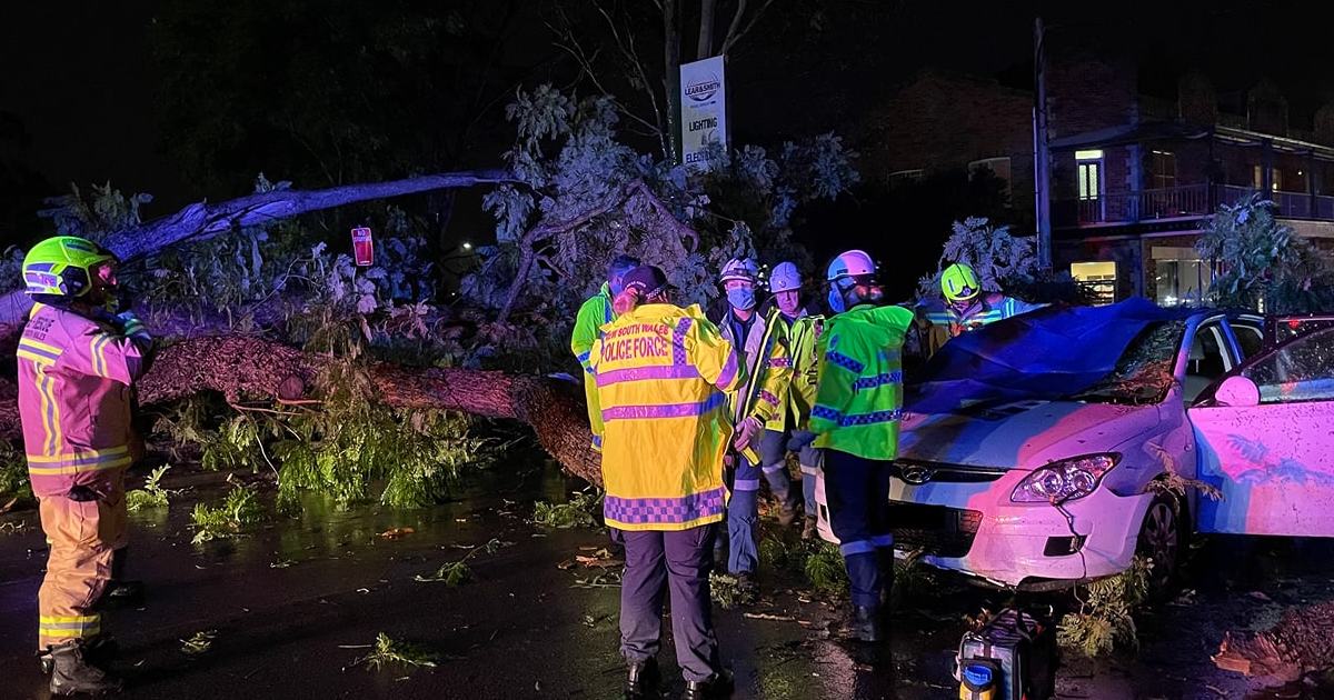 An image relating to the news item Driver rescued from car hit by fallen tree