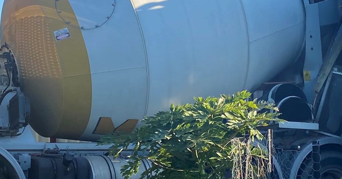 An image relating to the news item Cement truck crashes into house