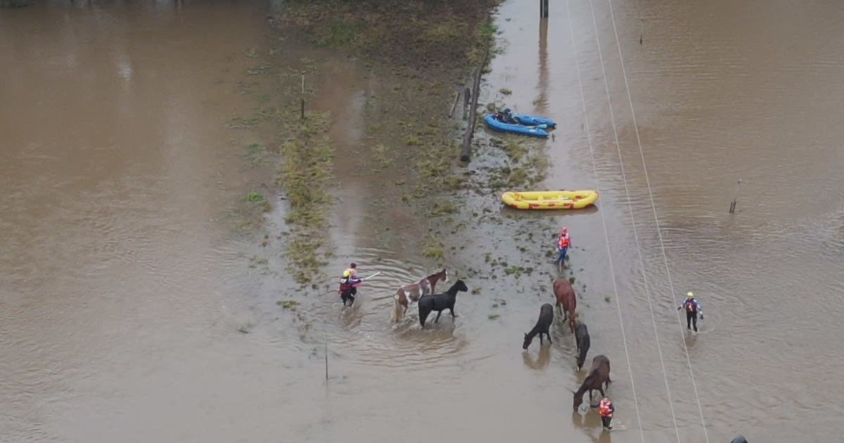 An image relating to the news item FRNSW helps rescue people and horses - VIDEO