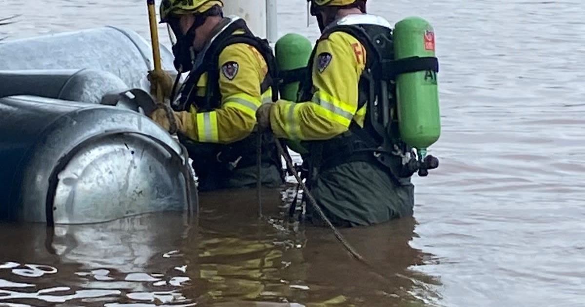 An image relating to the news item Resourceful firefighters rescue horse - Video