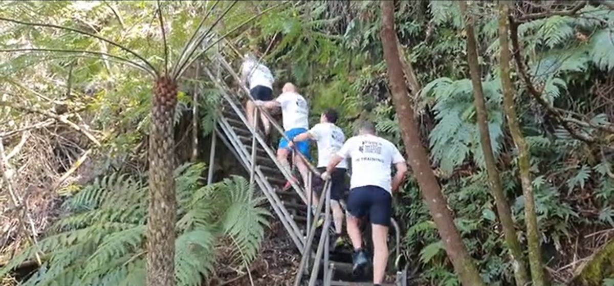 An image relating to the news item Firefighter reaches higher as he scales the Furber Steps for charity - VIDEO