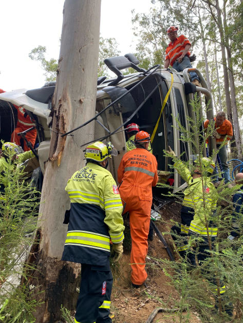 An image relating to the news item Truck driver trapped against tree