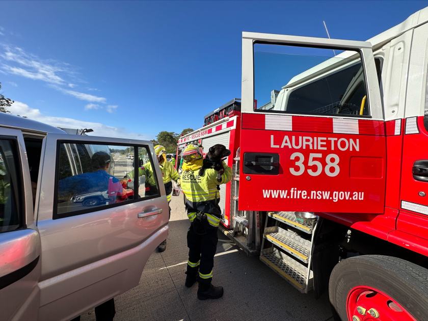 An image relating to the news item Firefighters rescue two drivers and three dogs from vehicle wreckage