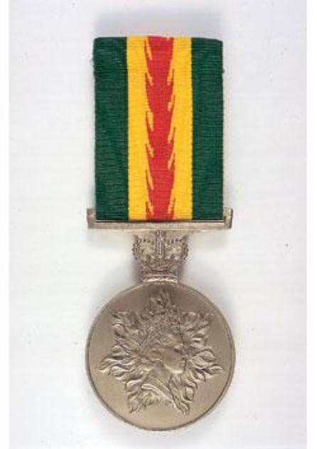 An image relating to the news item Firefighting veterans recognised in King’s Birthday honours
