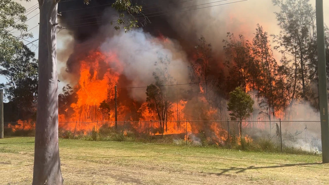 An image relating to the news item Major grass fire in Sydney