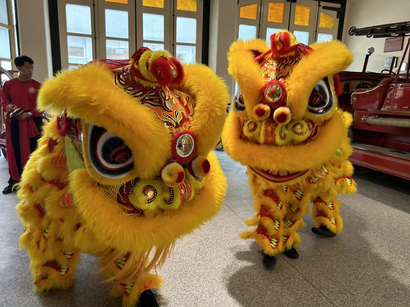 An image relating to the news item Special Chinese Lion dance held at City of Sydney Fire Station to promote happiness and prosperity ahead of Lunar New Year - VIDEO
